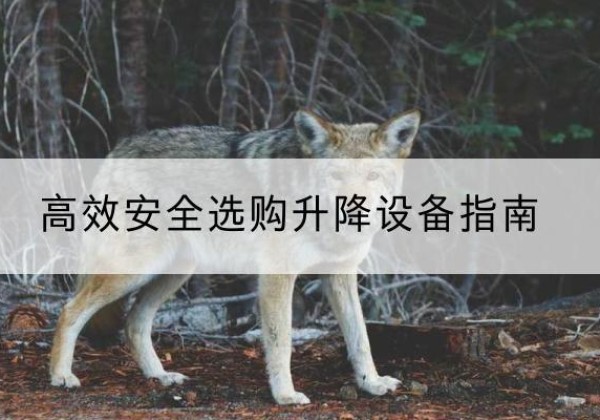 铁门关升降货梯厂家推荐-*安全选购升降设备指南