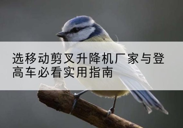 铁门关电动升降机厂家-选移动剪叉升降机厂家与登高车必看实用指南